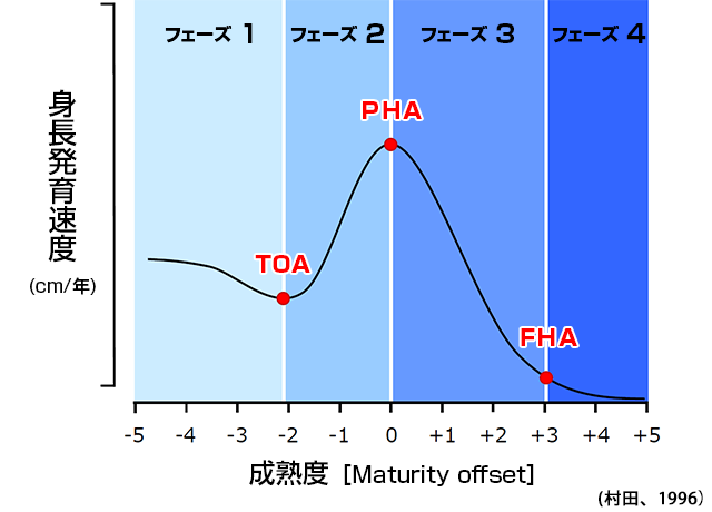 成熟度グラフ