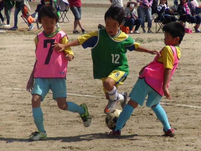 JFAキッズ（U-6/8/10）サッカーフェスティバル 山口県山口市の山口市あじす元気ランドに、599人が参加！