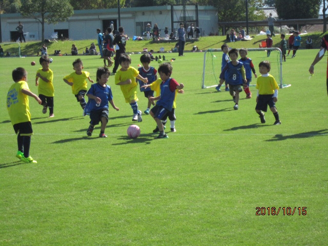 JFAキッズ（U-6/8/10）サッカーフェスティバル 滋賀県守山市の野洲川歴史公園サッカー場に、446人が参加！