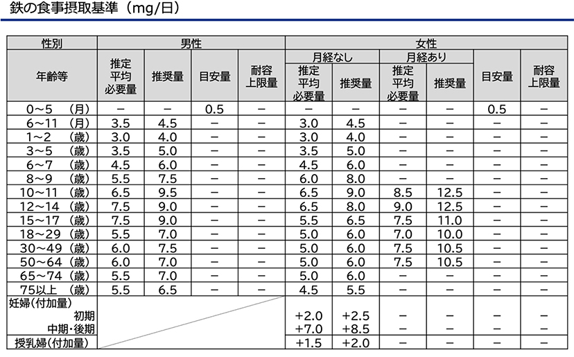 図3 鉄の食事摂取基準